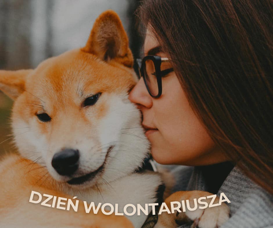 Dzień Wolontariusza