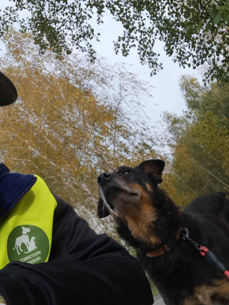 Piknik na 6 ŁAP fotorelacja