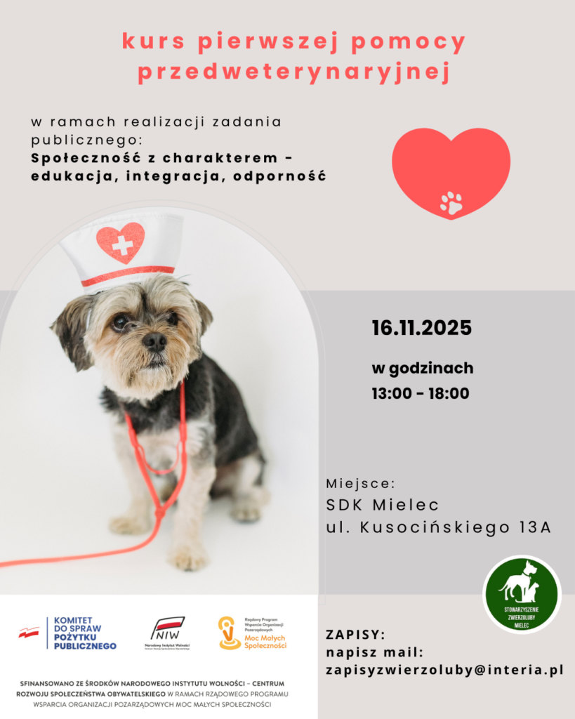 Pierwsza pomoc przedweterynaryjna – KURS